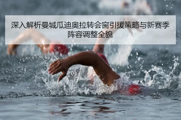 深入解析曼城瓜迪奥拉转会窗引援策略与新赛季阵容调整全貌